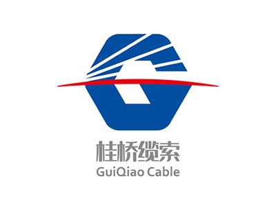 BE visited Guiqiao to discuss the suspension cable loosening on the Crescent Bridge in Taiwan.